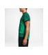 تی شرت مردانه تنیسی نایک مدل Nike Rf M Adv Polo Premier
